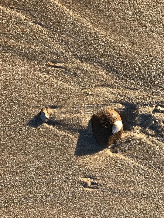 海滩,外壳,卵石