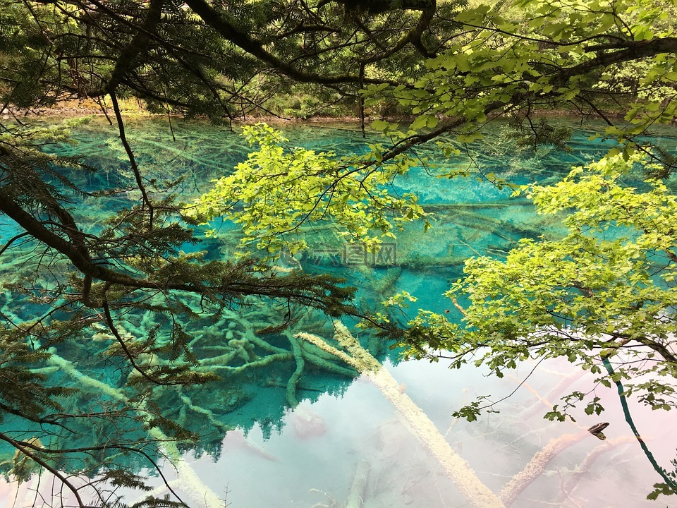 九寨沟,四川,风景