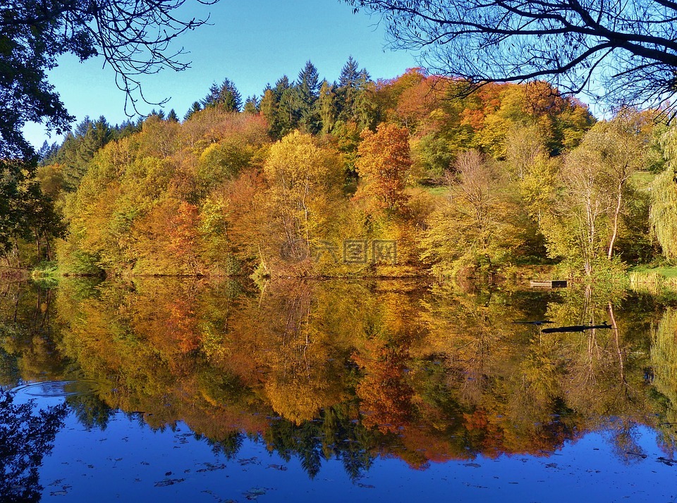镜像图像,秋天的落叶,秋湖