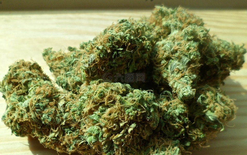 大麻,绿色,药物