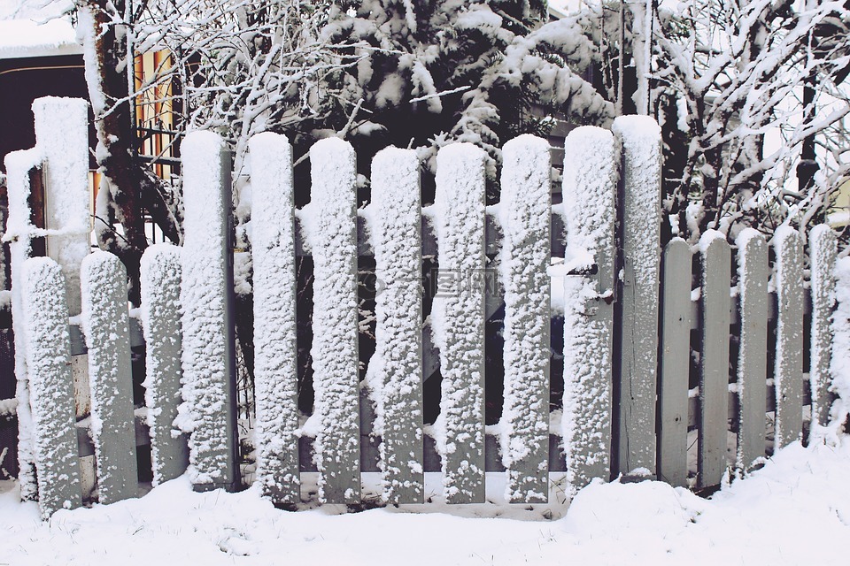 篱笆,花园围墙,雪