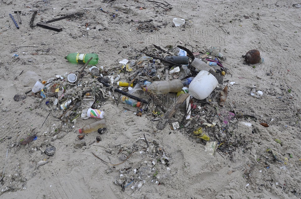 污染,废纸篓,海滩