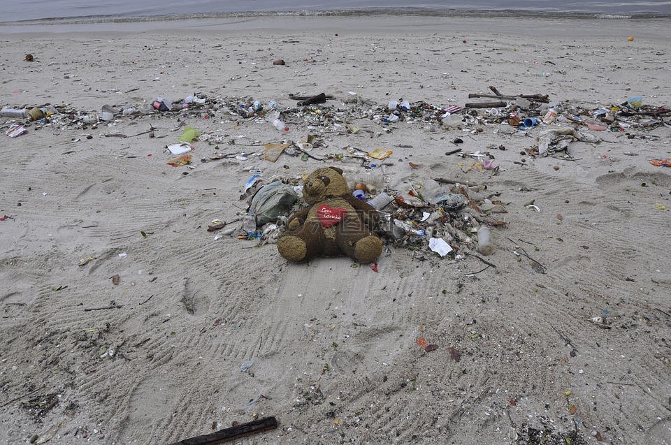 污染,泰迪熊,海滩