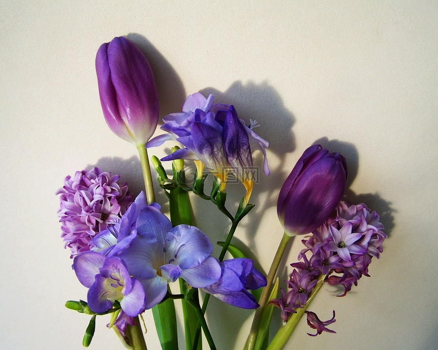 束鲜花,蓝紫色的颜色,切花