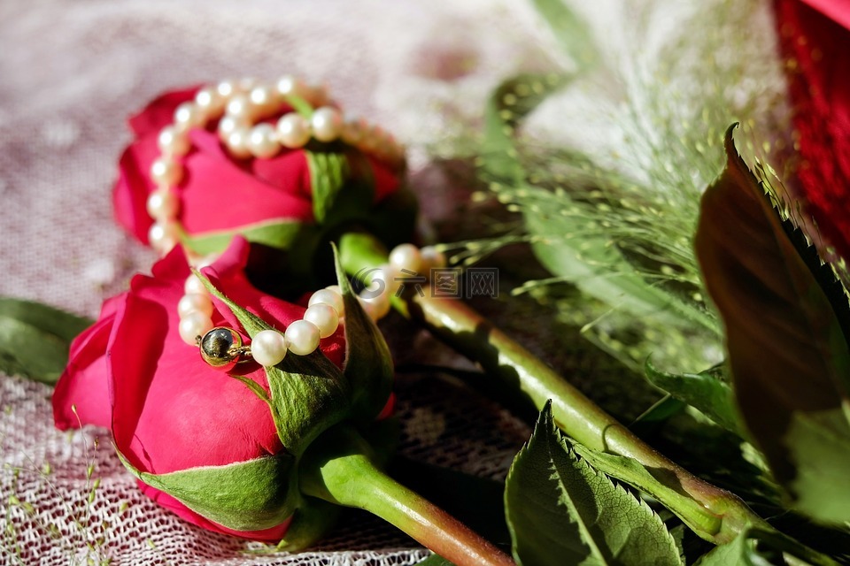 珍珠项链,珠宝,链