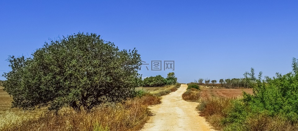 农村公路,农村,路