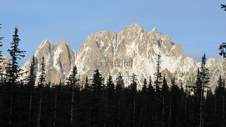 叶栅,华盛顿,山