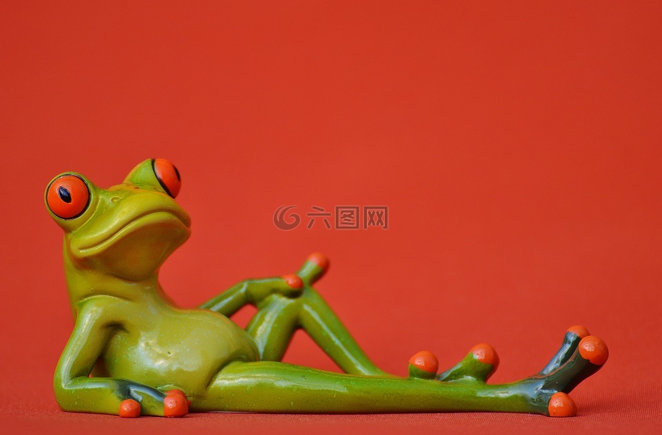 青蛙,躺在,轻松