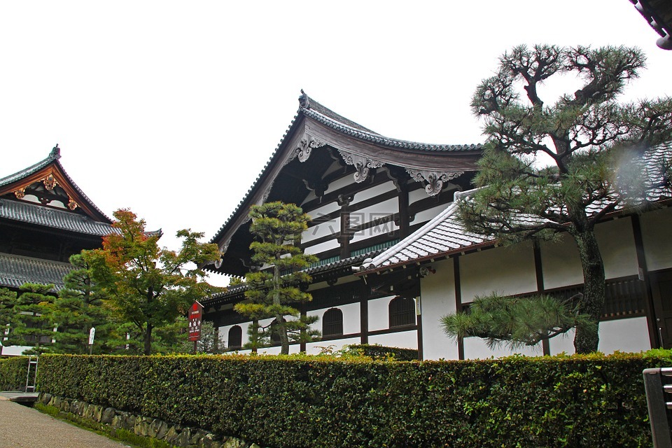 东福寺寺,日本,旅行