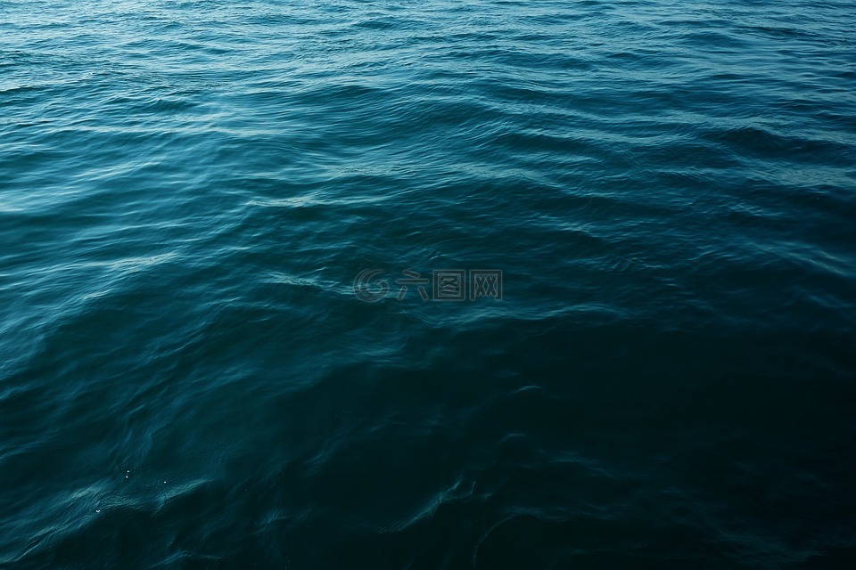 海洋水,海洋,水