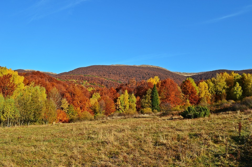 山,景观,顶视图