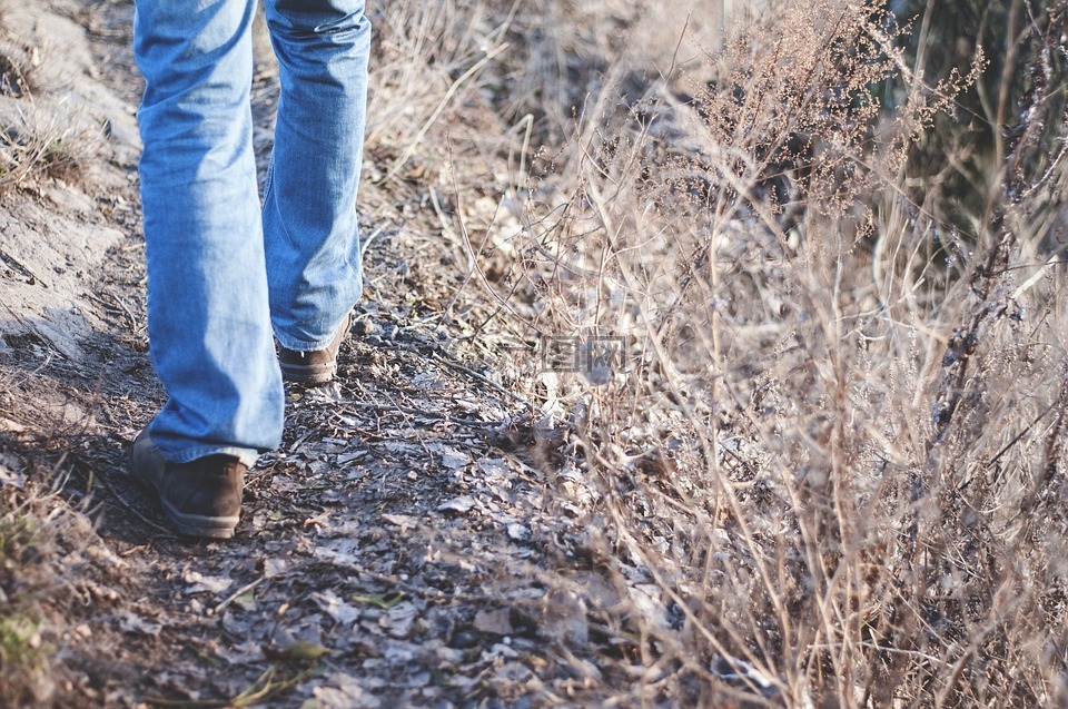 徒步旅行,自然,步行小径