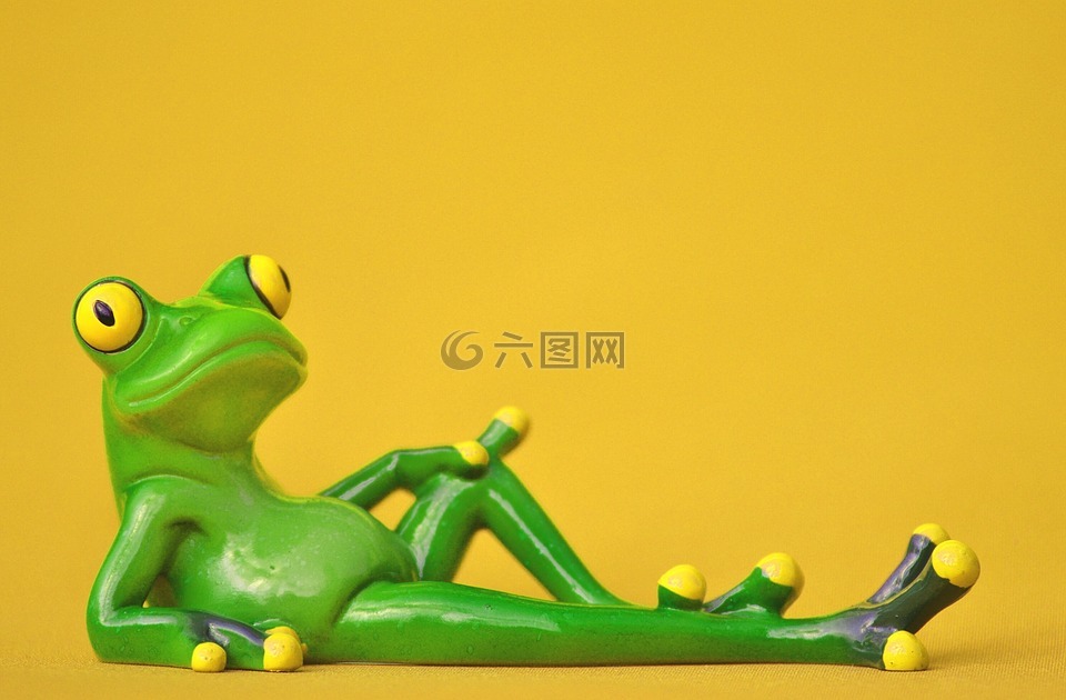 青蛙,躺在,轻松