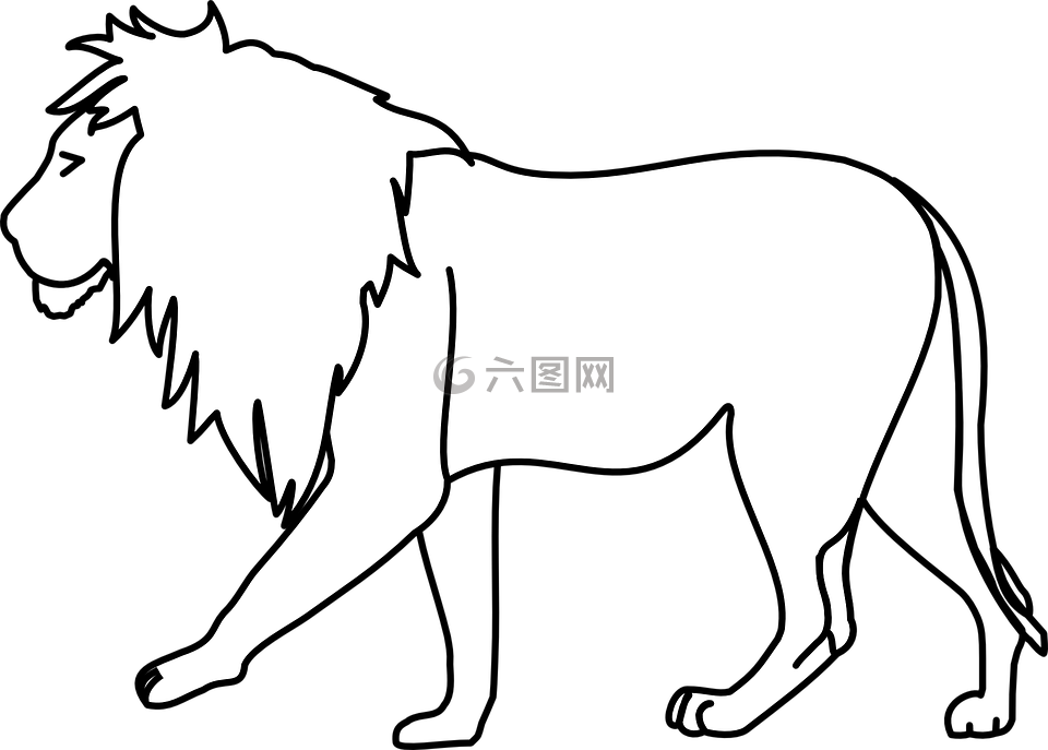 狮子,五大,野猫