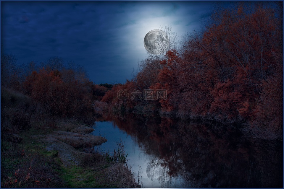 景观,月亮,夜