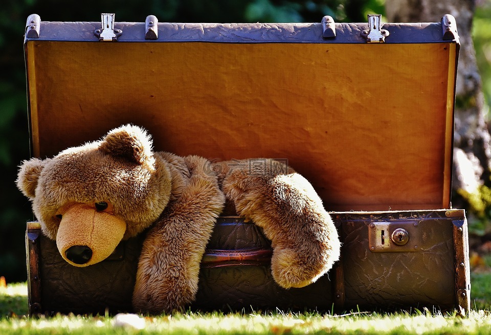 行李,古董,泰迪熊