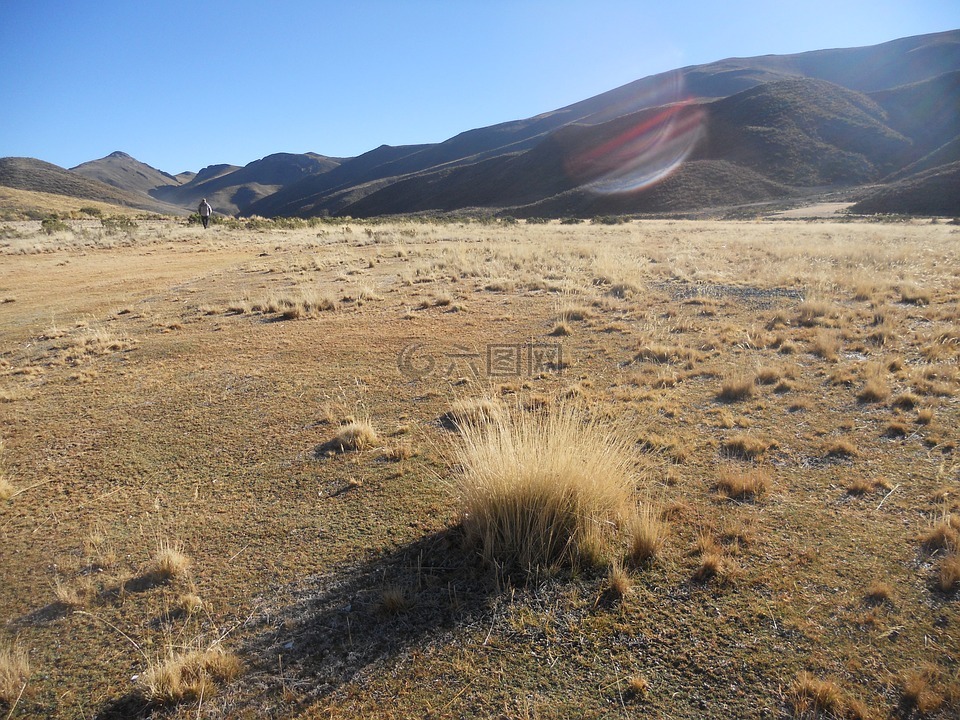 高地,玻利维亚,拉瓦稻草