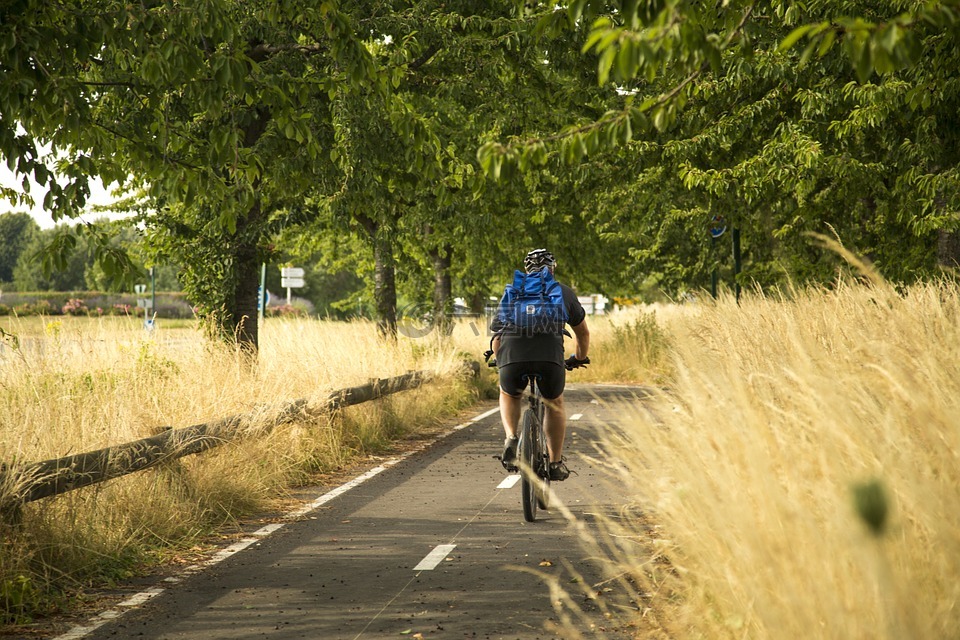 運動,自行車,騎行