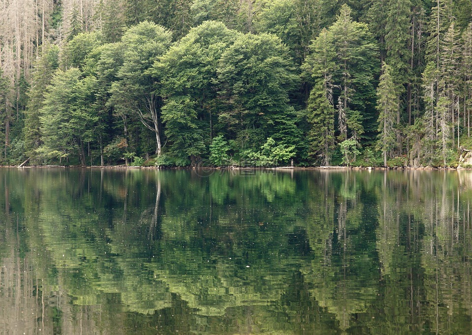 黑湖,湖,水