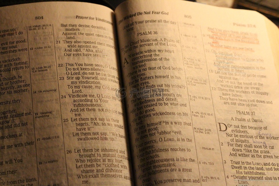 圣经,圣书,研究