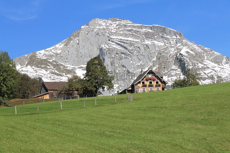 木屋,山,瑞士