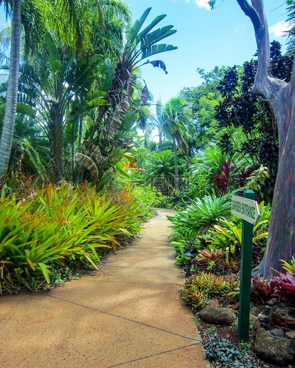 考艾岛,夏威夷,植物园