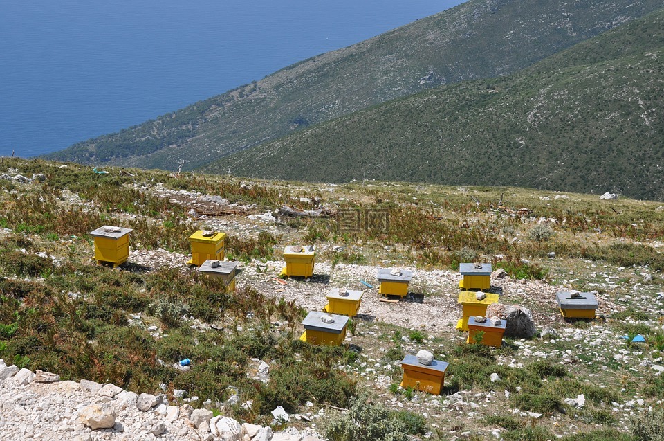 阿尔巴尼亚,蜂房,养蜂业