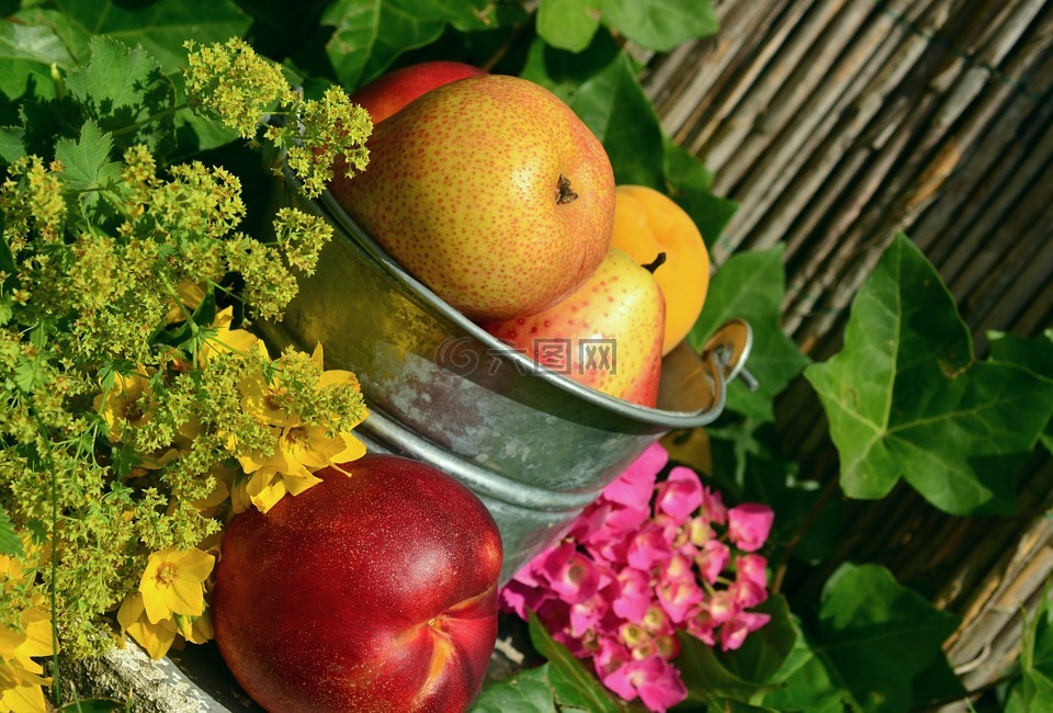 水果,花园,收获