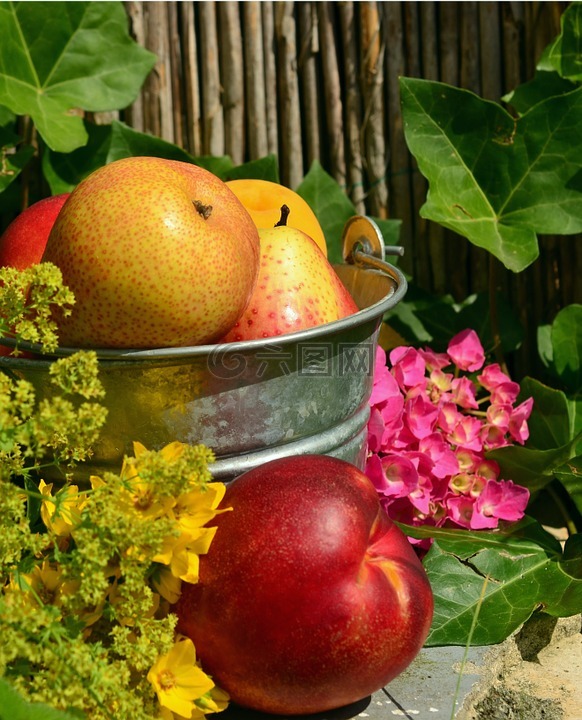 水果,花园,夏季