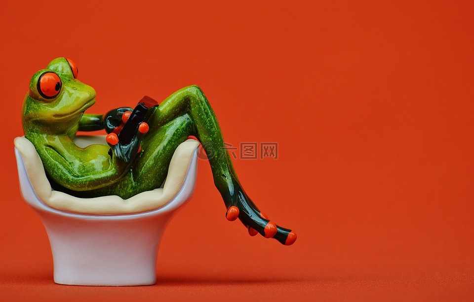 青蛙,椅子,舒适