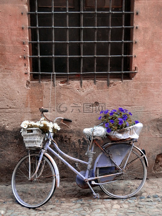 自行车,鲜花,废纸篓
