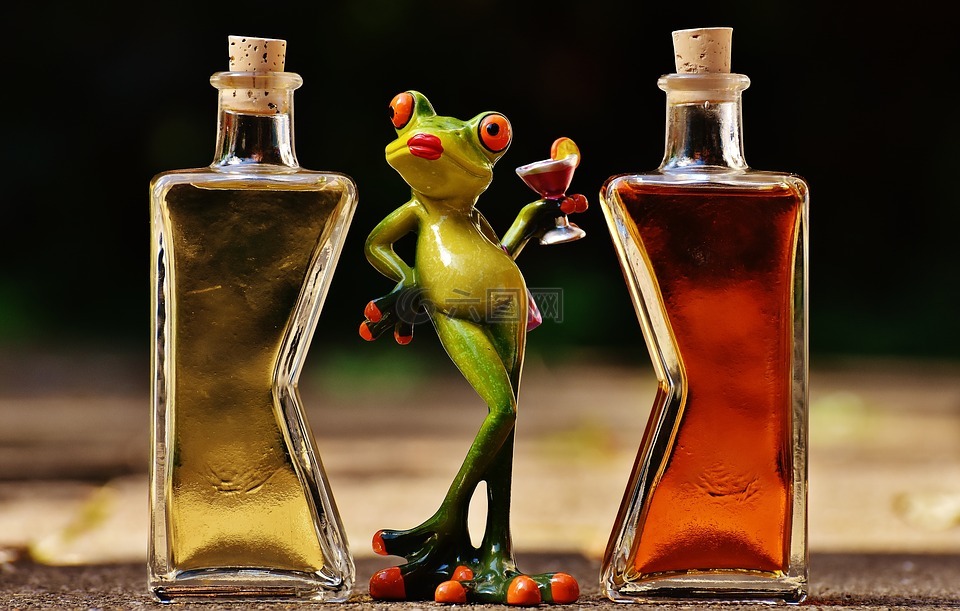 青蛙,小鸡,饮料