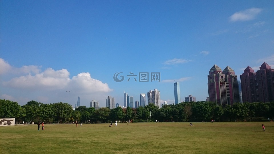shenzhen,lawn,blue sky