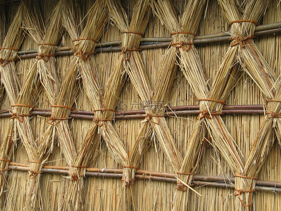 稻草,结构,墙
