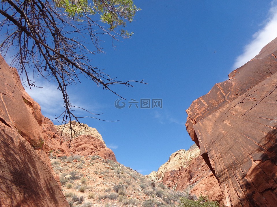 红色的岩石,峡谷,印花布盆
