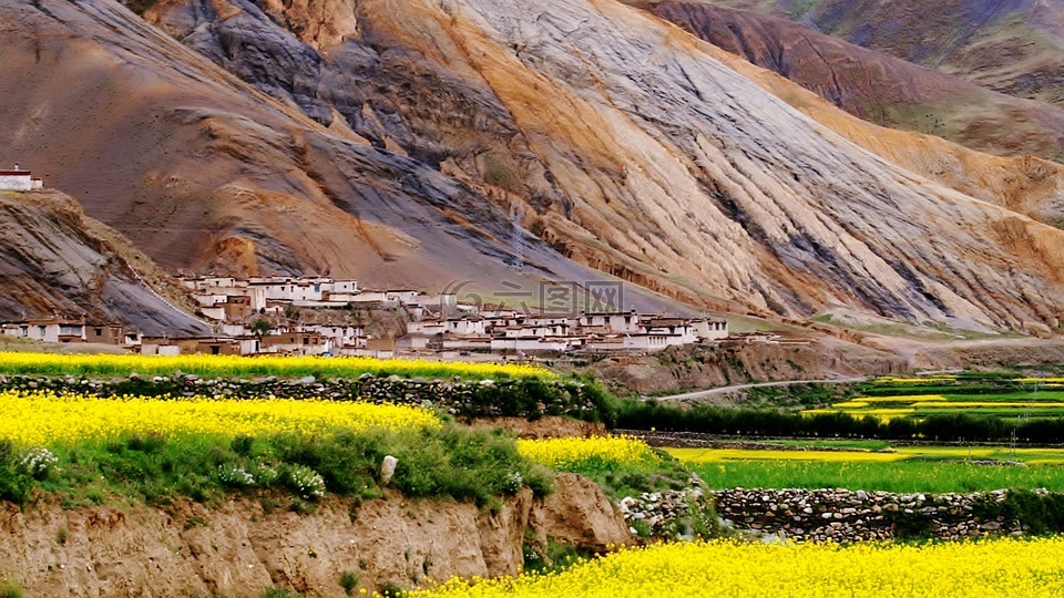 景观,文化,西藏