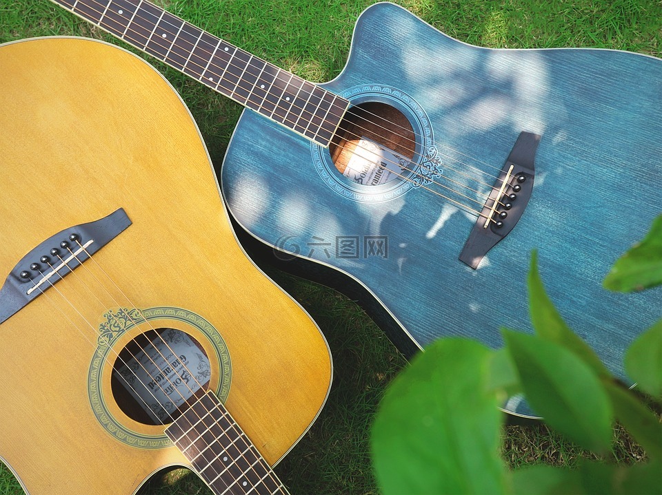吉他,草地,音樂