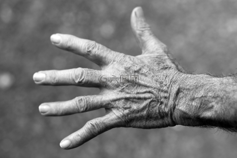 手,老年妇女,皱纹