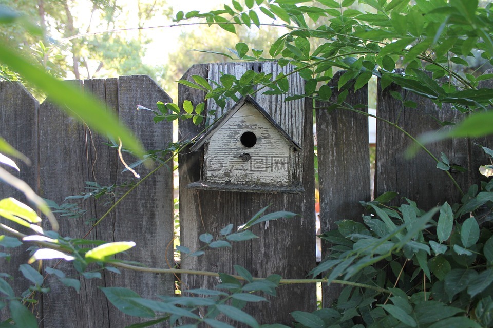 鸟的房子,篱笆,花园