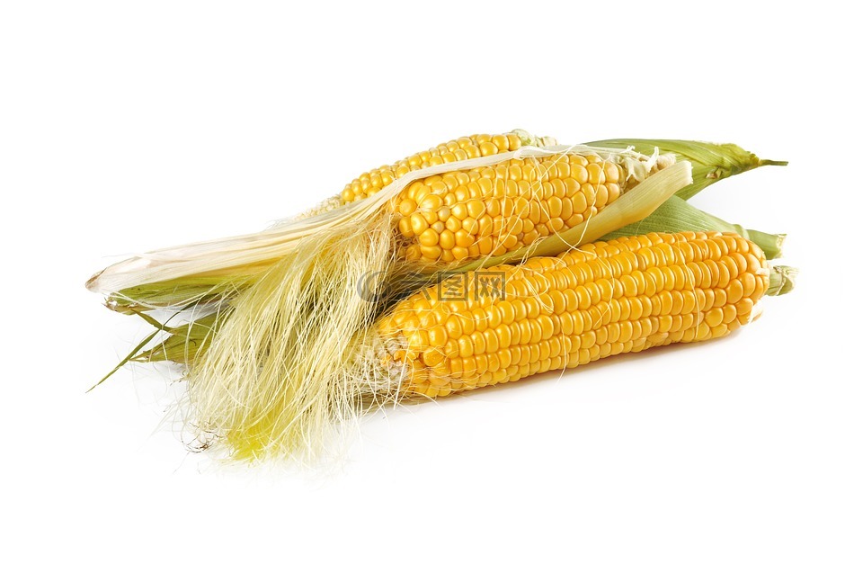 玉米,自然,成熟