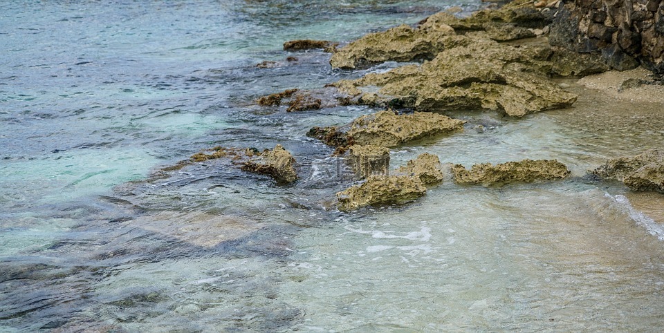 珊瑚礁,墨西哥,水
