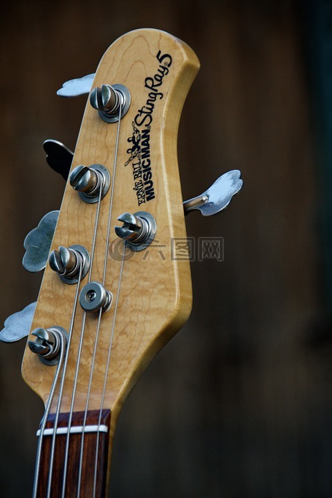 吉他,电子吉他,电吉他