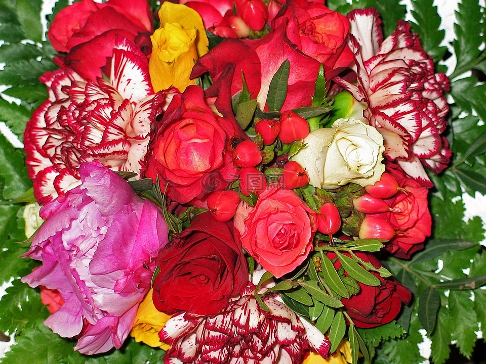 束鲜花,花商,束玫瑰