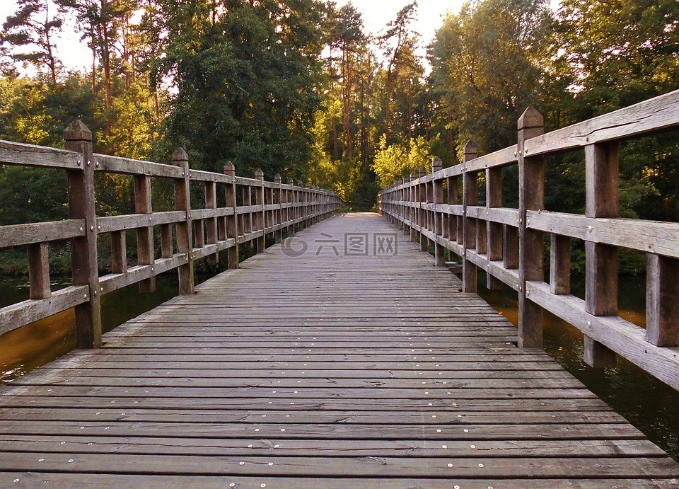 木桥,离,木板