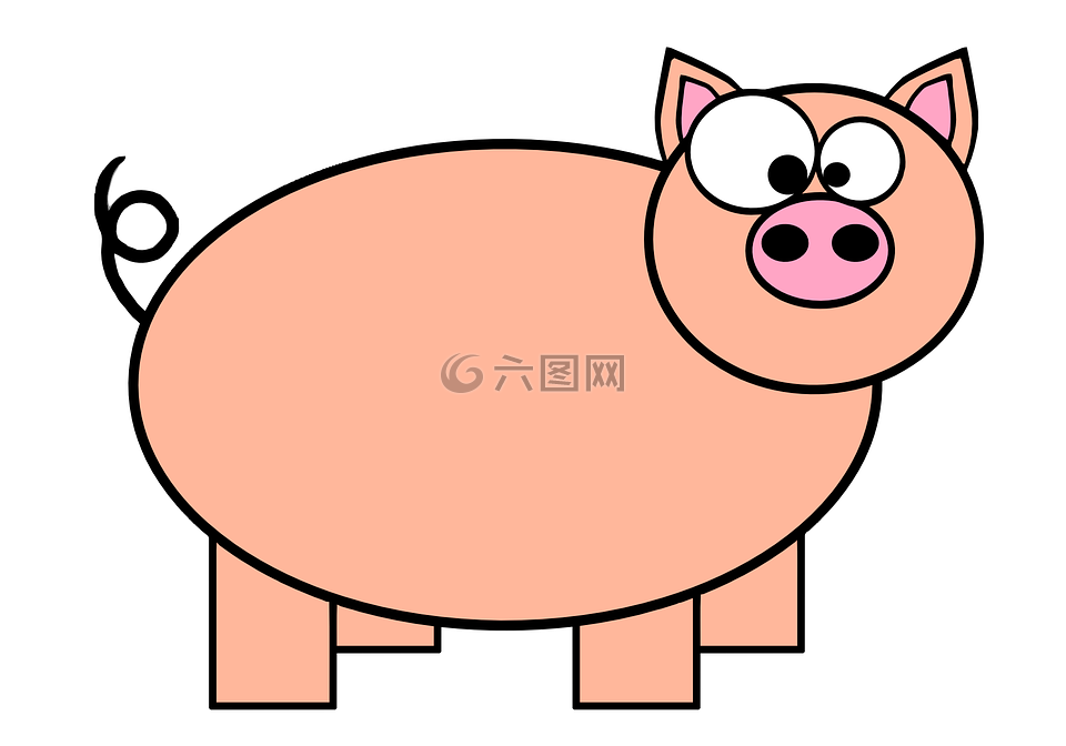 环尾,猪,猪肉