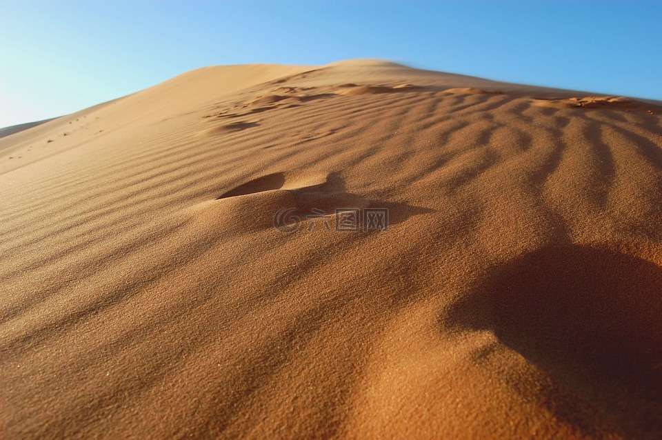 砂,沙漠,背景