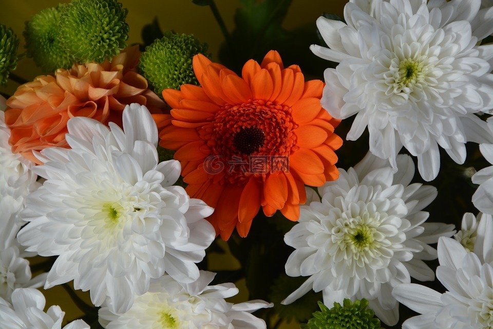 合成物花卉,白色的花橙花,提供的装饰