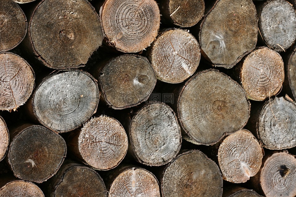 木材,叠,树的年轮