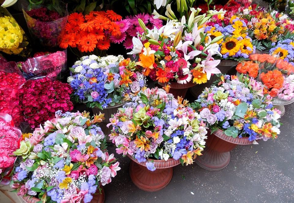 鲜花,市场,花是