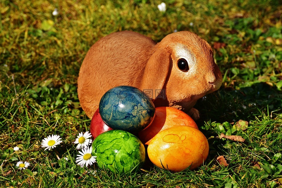 复活节,复活节兔子,蛋